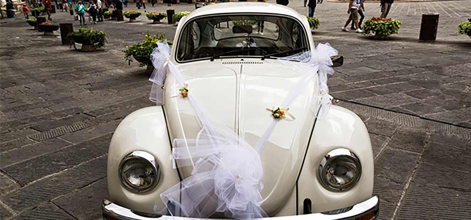 vw beetle
