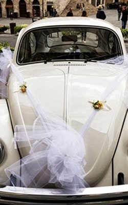 vw beetle
