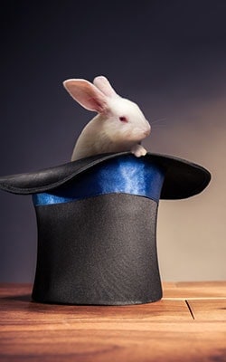 Magician for Hire