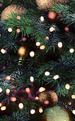 Christmas Entertainment