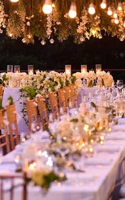 Wedding Reception