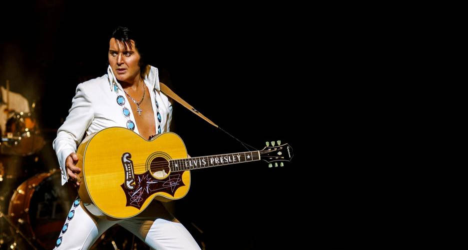 A Vision Of Elvis