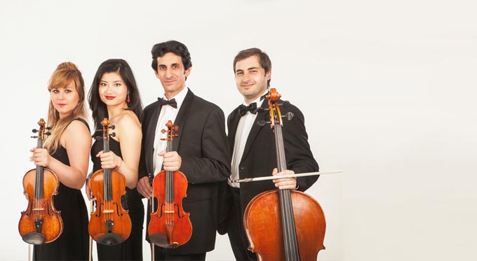 Giardino Strings