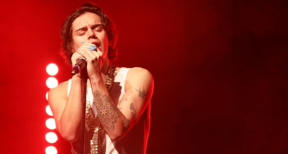Harry Styles Tribute