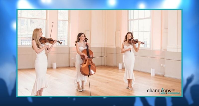 Live Wedding Musicians to Hire
