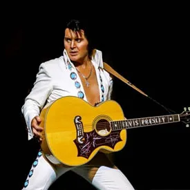 A Vision Of Elvis