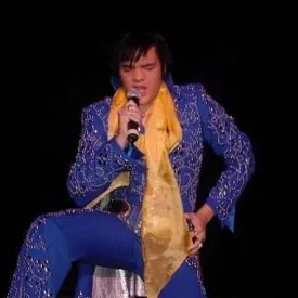 Elvis On Stage