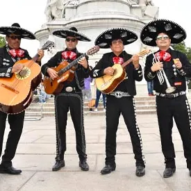 Mariachi Tequila