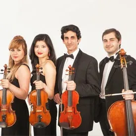 Giardino Strings