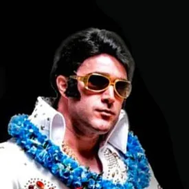 The Almost Elvis Band