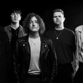The Pigeon Detectives