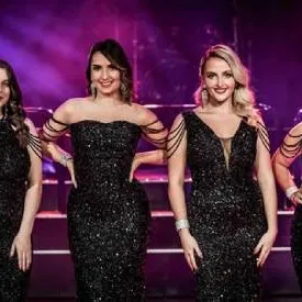 Velvet Collective official act profile picture