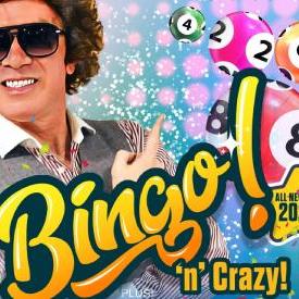 Bingo N Crazy Official Profile Picture