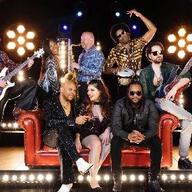 Soulshine Band Official Band Profile Picture