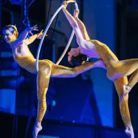 Duo Electra Official Act Profile Image