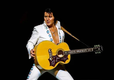 A Vision Of Elvis