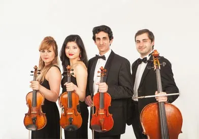 Giardino Strings