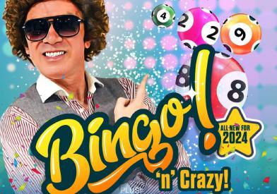 Bingo N Crazy Official Profile Picture