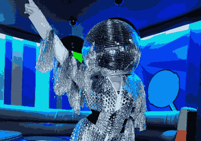 Disco Ball Heads Champions Music & Entertainment