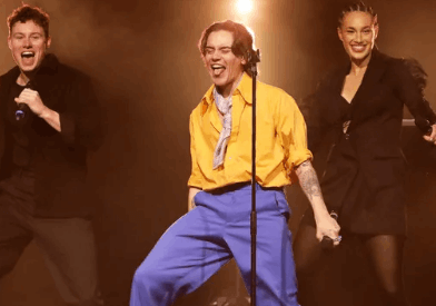 Harry Styles Tribute