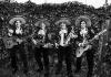 Mariachi Loco booking agents