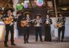 Mariachi Bands