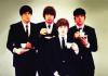 Meet The Beatles