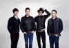 The Rifles