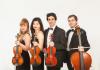 Giardino Strings