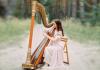 Harpist