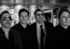 Antic Monkeys Official Act Image